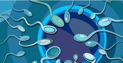 男人患上了無精癥該怎么辦?